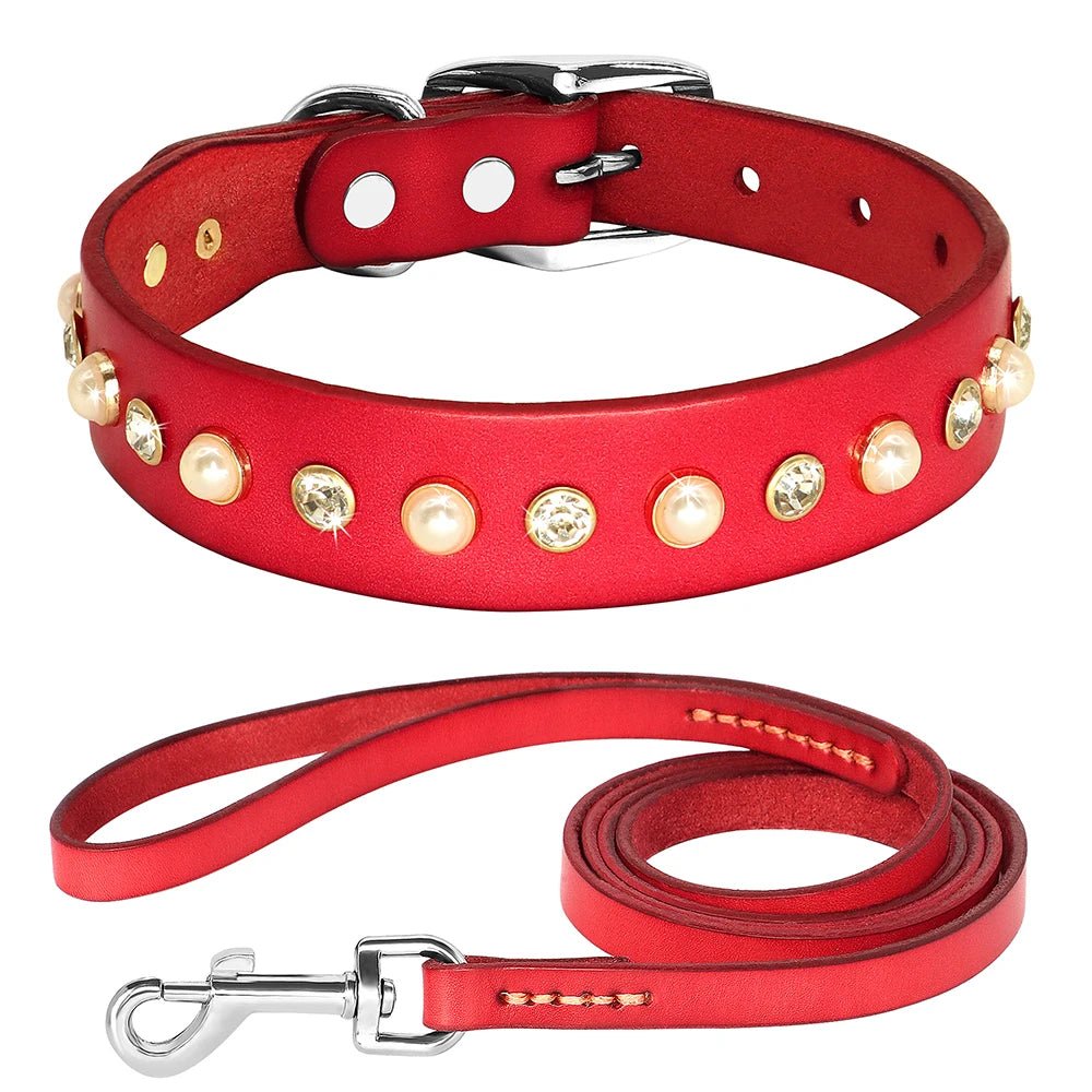 Collier brillant et perle en cuir véritable pour petit chien et chat Oscar et Plume Collier + laisse rouge / XS