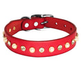 Load image into Gallery viewer, Collier brillant et perle en cuir véritable pour petit chien et chat Oscar et Plume Collier rouge / XS
