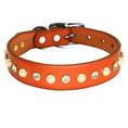 Charger l'image dans la visionneuse de la galerie, Collier brillant et perle en cuir véritable pour petit chien et chat Oscar et Plume Collier orange / XS
