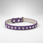 Collier brillant petit chien violet orné de strass étincelants pour petits chiens