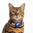 Carica l'immagine nel visualizzatore della galleria, Collier chat anti étranglement bleu avec identification personnalisée pour la sécurité des animaux de compagnie
