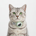 Carica l'immagine nel visualizzatore della galleria, Collier chat anti étranglement Oscar et Plume avec une médaille d'identification et un design sécurisé

