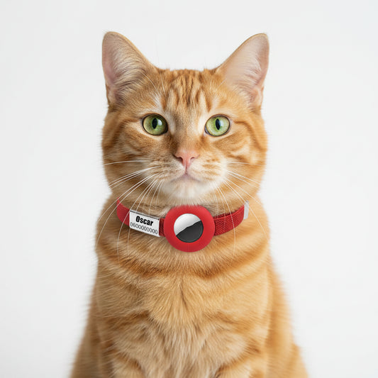 Collier chat anti étranglement rouge d'Oscar et Plume avec système de sécurité pour un confort optimal