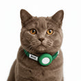 Carica l'immagine nel visualizzatore della galleria, Collier chat anti étranglement vert avec un médaillon pour identification d'Oscar et Plume
