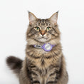 Carica l'immagine nel visualizzatore della galleria, Collier chat anti étranglement Oscar et Plume en violet avec sécurité intégrée et identifiant
