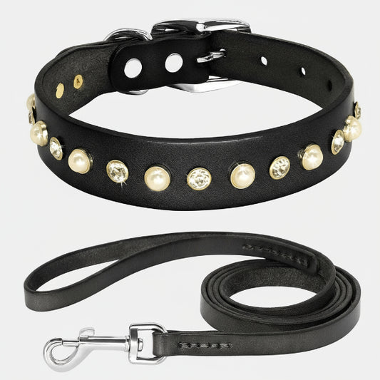 Collier chic chien chat noir en cuir orné de perles et strass avec laisse assortie Oscar et Plume