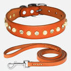 Collier chic chien chat en cuir marron avec perles et strass orné d'une laisse assortie