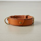 Collier chien cuir avec Emplacement AirTag en cuir brun pour le suivi de votre animal de compagnie