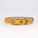 Collier chien cuir personnalisable jaune avec boucle en métal pour un ajustement parfait