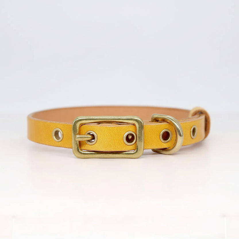 Collier chien cuir personnalisable jaune avec boucle en métal pour un ajustement parfait
