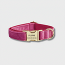 Collier chien en velours personnalisable rose avec fermeture dorée et gravure nom et numéro Oscar et Plume
