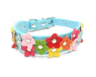 Collier chien fleurs multicolores en cuir bleu clair avec fleurs décoratives Oscar et Plume