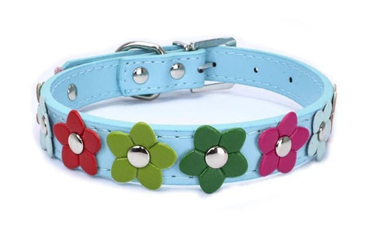 Collier chien fleurs bleu ciel avec décoration fleurs colorées en cuir par Oscar et Plume