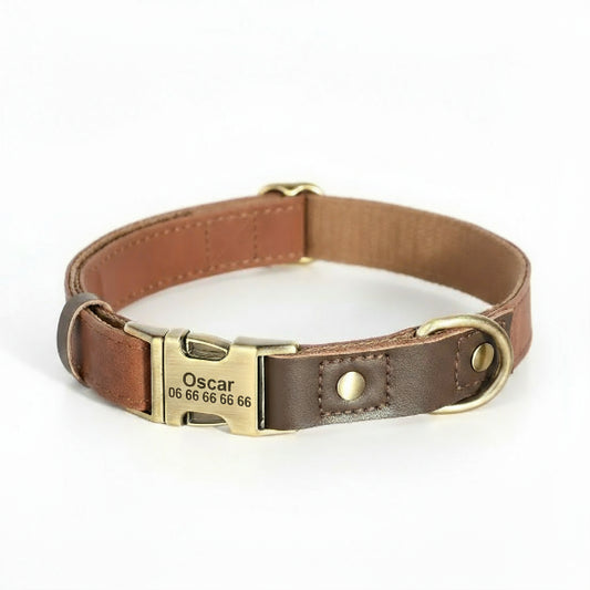 collier chien personnalisable en cuir marron avec boucle laiton gravee nom Bella et numero de telephone