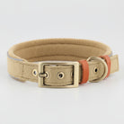 Collier chien réglable en coton avec boucle en métal doré, design chic et confortable