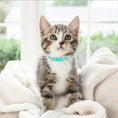 Load image into Gallery viewer, Collier clouté en cuir pour chat et petit chien - Oscar et Plume
