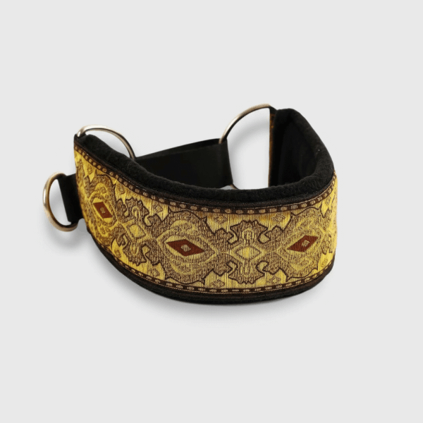 Collier confortable lévrier avec un design élégant et rembourrage doux pour le confort du chien