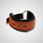 Collier confortable lévrier avec motif coloré et doublure douce pour un confort optimal