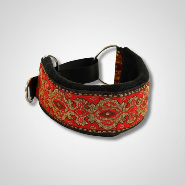 Collier confortable lévrier avec motif coloré et doublure douce pour un confort optimal