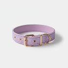 Collier couture chien en tissu violet avec boucle métallique dorée pour un port confortable