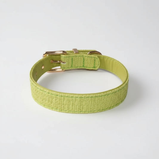 Collier couture chien vert clair avec boucle métallique dorée élégant et confortable
