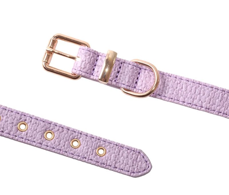 Collier Couture pour chien Oscar et Plume Violet / XS