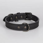 Collier cuir chien design noir avec boucles en métal pour un style élégant et durable