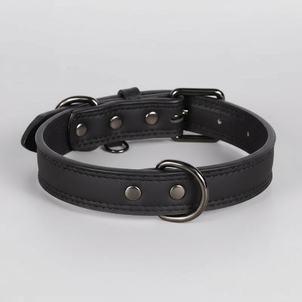 Collier cuir chien design noir avec boucles en métal pour un style élégant et durable