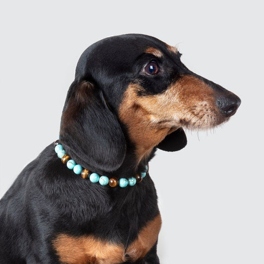 Collier de lithothérapie pour chiens hyperactifs Oscar et Plume 20-25 cm