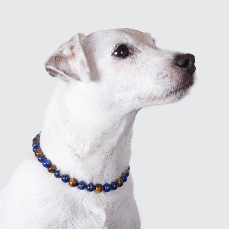 Collier de lithothérapie pour les chiens qui se grattent ou se mordillent nerveusement les pattes Oscar et Plume 20-25 cm