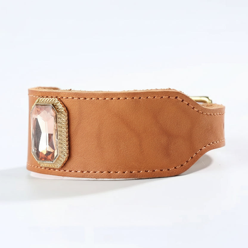 Collier de luxe pour chien en cuir avec pierre précieuse sur le côté pour un look élégant