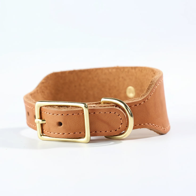 Collier de luxe pour chien en cuir avec boucle dorée et finition élégante d'Oscar et Plume