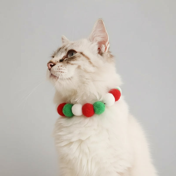 Collier de Noël pour chat et chien avec des pompons rouges, verts et blancs, idéal pour les fêtes