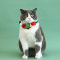 Load image into Gallery viewer, Un chat gris et blanc portant un collier de Noël pour chat et chien avec des décorations festives
