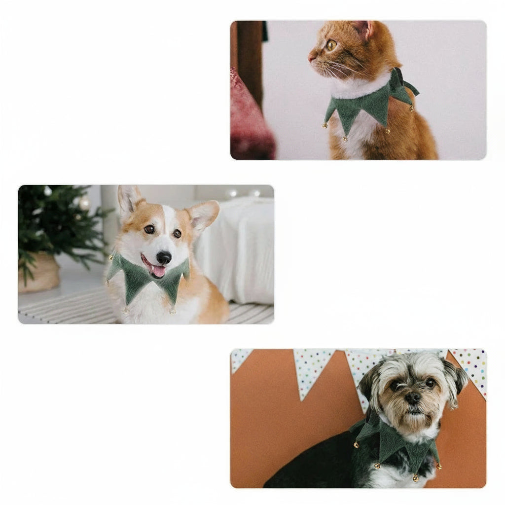 Trois animaux portant un collier de Noël pour chat en tissu festif pour les fêtes