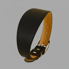 Collier design lévrier noir en cuir avec boucle métallique pour chien élégant