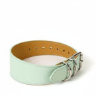 Collier design lévrier en cuir vert clair avec boucle métallique chez Oscar et Plume