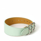 Collier design lévrier en cuir vert clair avec boucle métallique chez Oscar et Plume