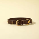 Collier design pour chat en cuir marron orné de petites étoiles dorées par Oscar et Plume