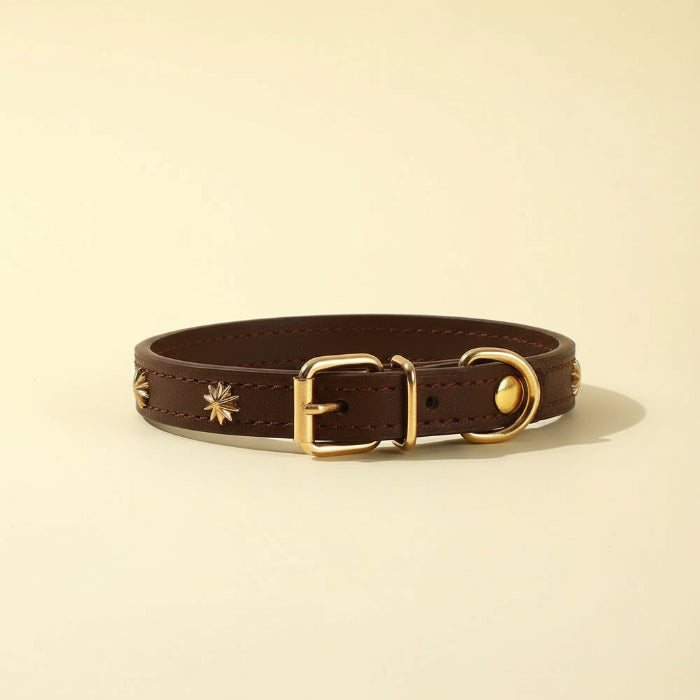 Collier design pour chat en cuir marron orné de petites étoiles dorées par Oscar et Plume