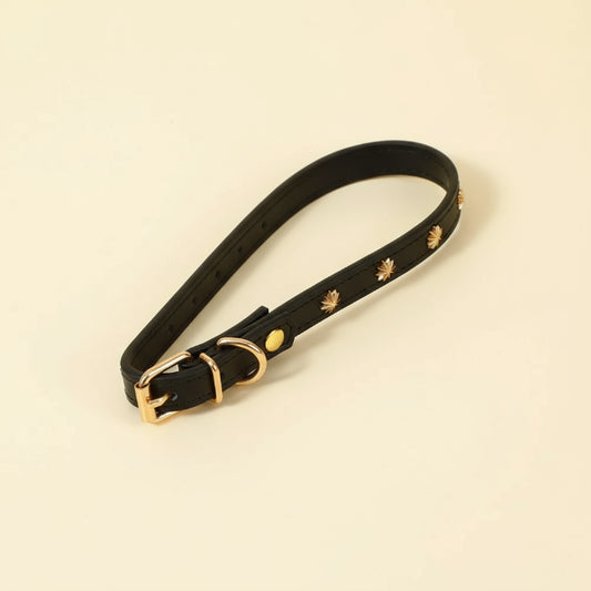Collier design pour chat en cuir noir avec clous dorés décoratifs et boucle métallique