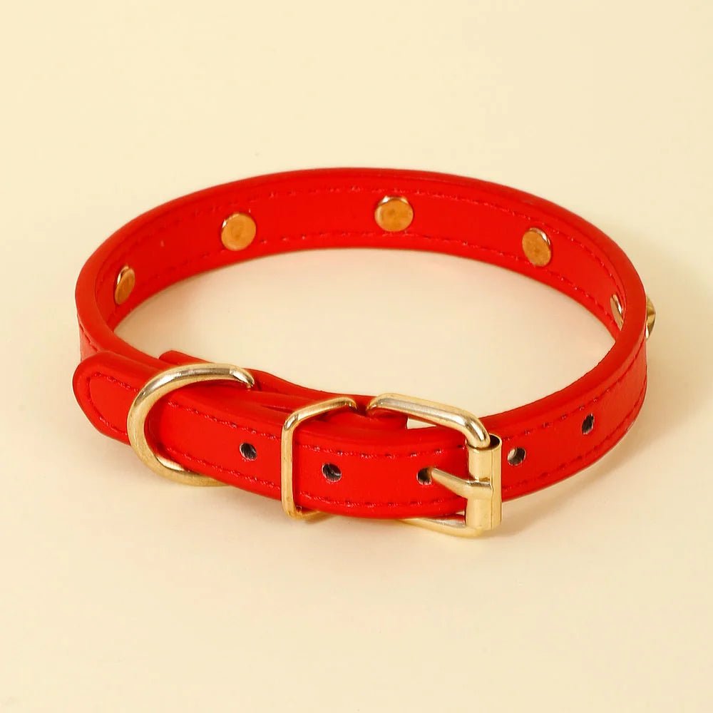 Collier design pour chat en cuir rouge avec boucle et rivets dorés par Oscar et Plume