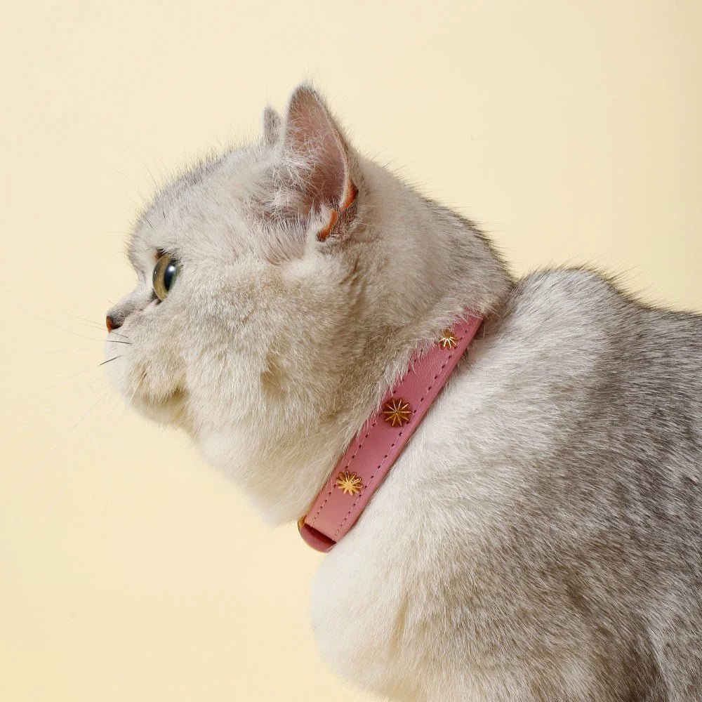 Chat gris portant un collier design pour chat rose avec décorations dorées par Oscar et Plume