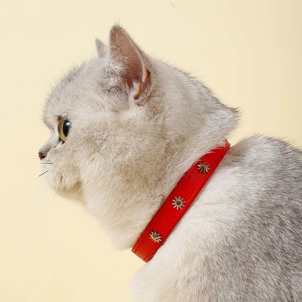 Chat portant un collier design pour chat rouge orné de petits motifs dorés