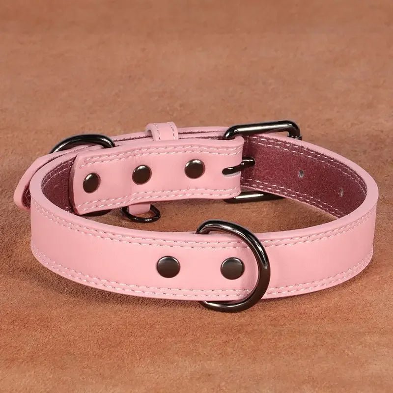 Collier élégant en Cuir pour chien Oscar et Plume Rose / S