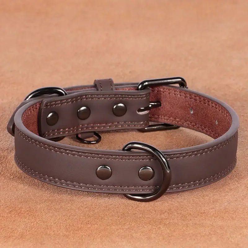 Collier élégant en Cuir pour chien Oscar et Plume Marron / S