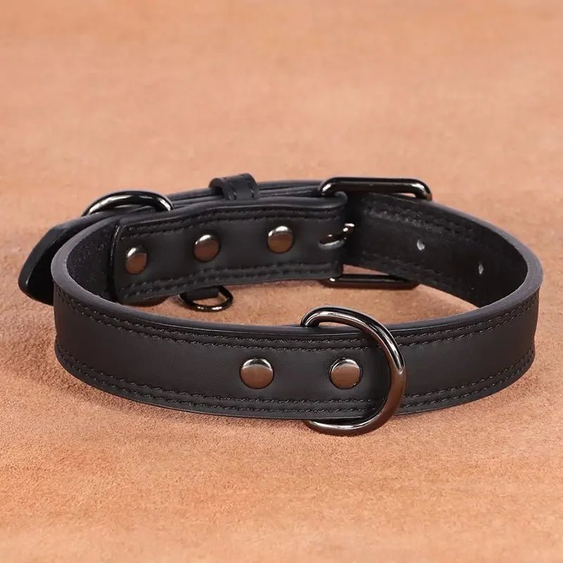 Collier élégant en Cuir pour chien Oscar et Plume Noir / S