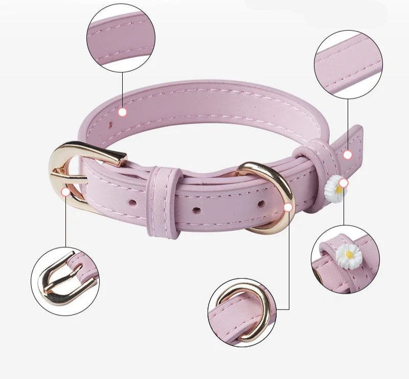 Collier élégant pour chat Oscar et Plume Violet