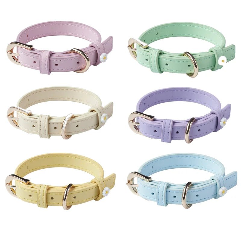 Collier élégant pour chat Oscar et Plume Violet