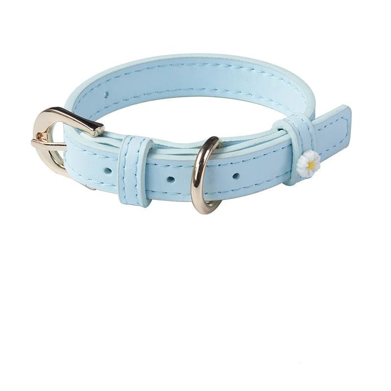 Collier élégant pour chat Oscar et Plume Bleu ciel